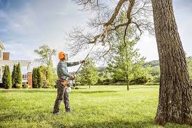 Best Tree and Shrub Care  in South Creek, WA